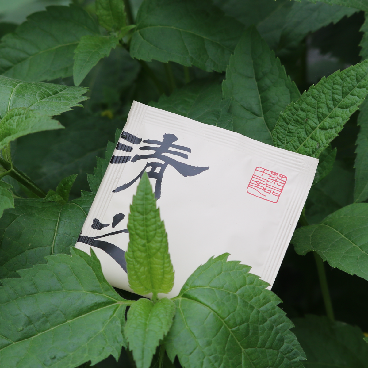 金花六堡 JINHUA LIUBAO | Thé Noir Harmonisé