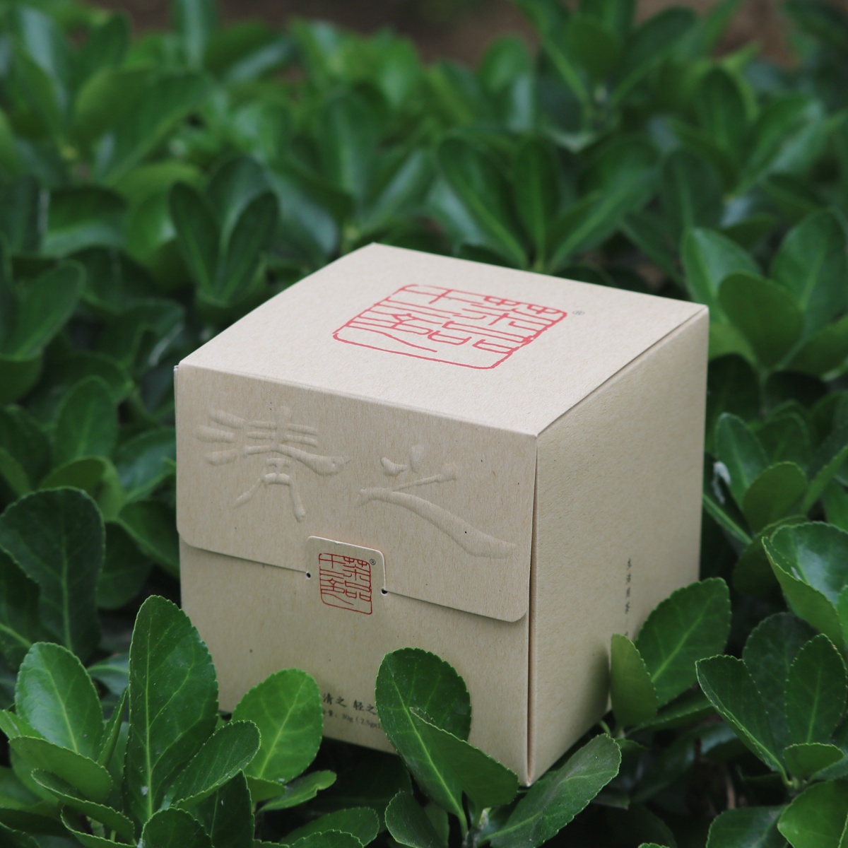 金花六堡 JINHUA LIUBAO | Thé Noir Harmonisé