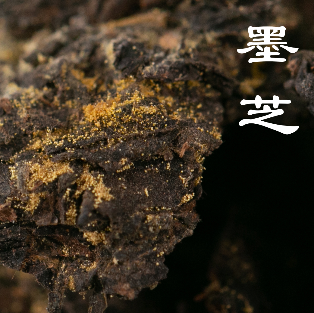 墨芝 MOZHI | Té oscuro armonizado